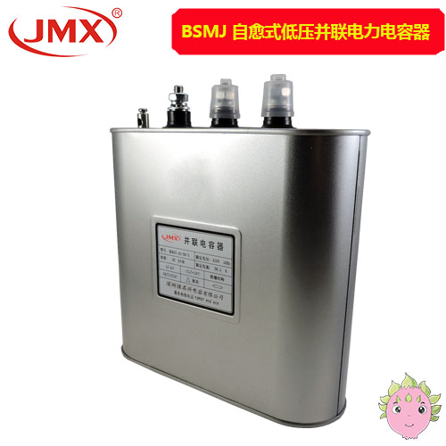 BSMJS自愈式電壓并聯(lián)電容器